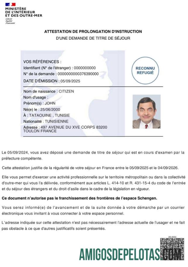 Certificado de extensão de instrução da França modelo